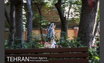 بوستان باغ ایرانی 10