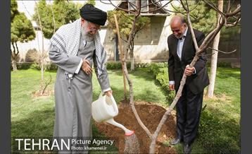 کاشت نهال توسط رهبر معظم انقلاب اسلامی 4