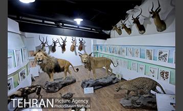 موزه طبیعت و حیات وحش دارآباد تهران 27