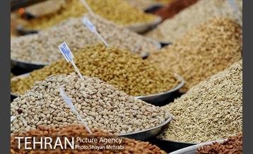 نمایشگاه بهاره در بوستان ولایت 17