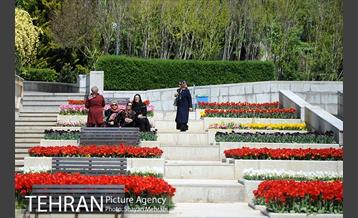 رویش گل های لاله در بوستان گفتگو 10