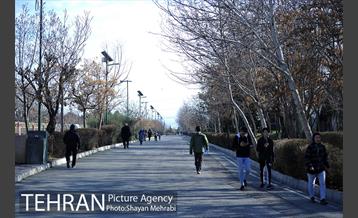 پارک پردیسان 8