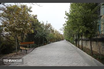 طبیعت پاییزی باغ راه فدک تهران 11