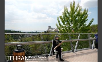 اولین جشنواره شهروند نقاش 22