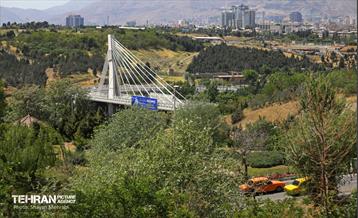 جشن تولد ۵۶ سالگی «پیکان» 3