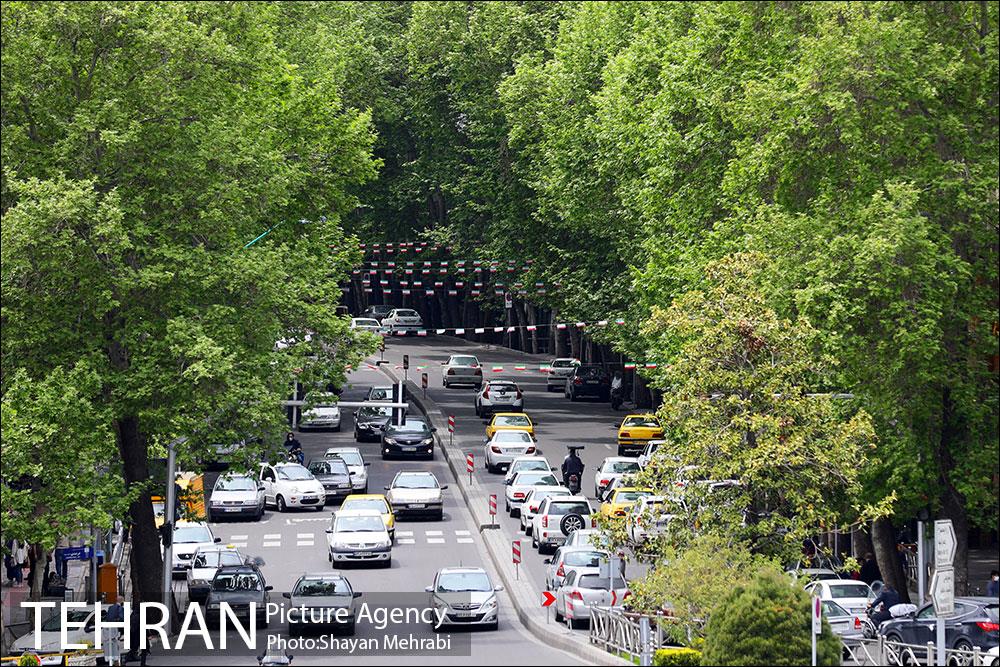 ولیعصر(عج)؛ خیابانی به درازای خاورمیانه 11