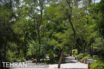 بوستان گلابدره 5