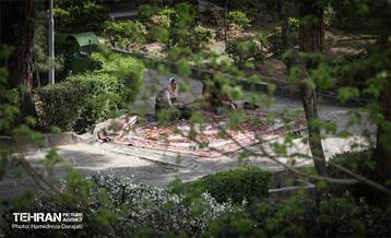 روز طبیعت در پارک ساعی و حاشیه اتوبان مدرس  17