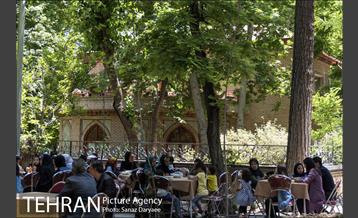 کودکان و زنان آسیب دیده به تماشای فیلم  یک سامورایی در برلین پرداختند 24