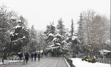 عصر زمستانی تهران 19