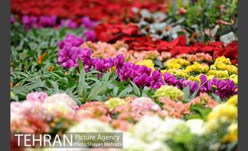 نمایشگاه گل و گیاه در بوستان گفتگو 11