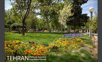 روز طبیعت بدون انسان 21