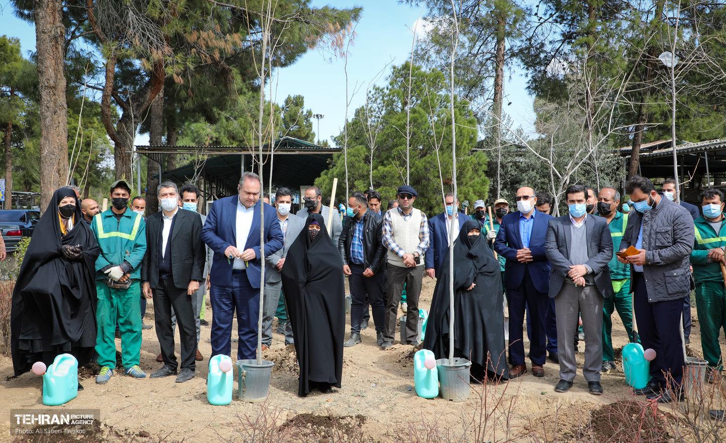 روز درختکاری با حضور مادران شهدا 8