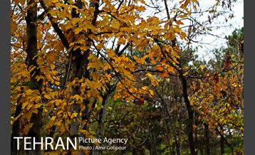 هوای پاییزی پایتخت 3