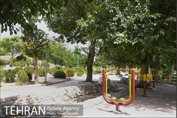 بوستان پردیس بانوان 8