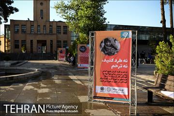 مراسم روز جهانی مبارزه با کار کودک 1