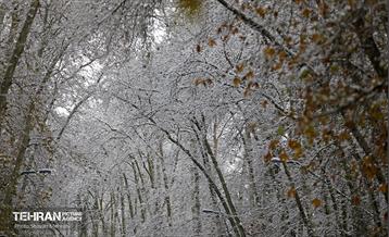 بارش نخستین برف زمستانی در تهران 23