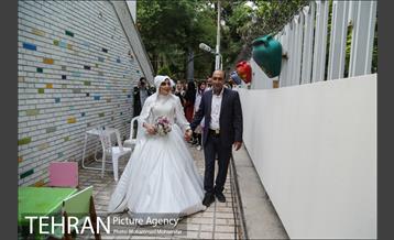 جشن ازدواج دو کارتن خواب بهبود یافته 4