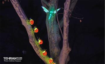 جشنواره نور تهران در بوستان ملت 29