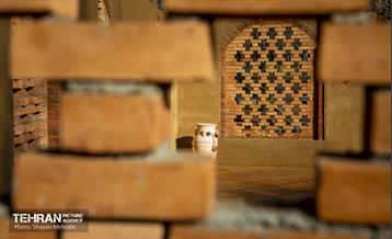 باغ گلاریس 19