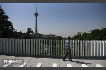 پل تندرستی 8