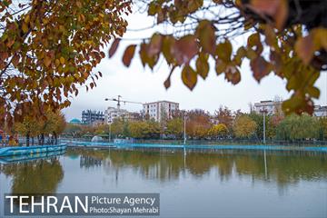 پاییز در بوستان المهدی(عج) 21
