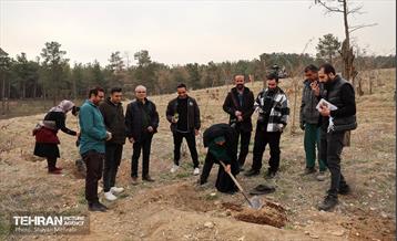 کاشت 2000 نهال مثمر در بوستان جنگلی چیتگر 2