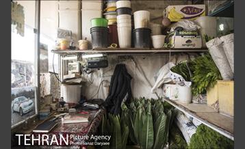 بازار گل شهید محلاتی 31