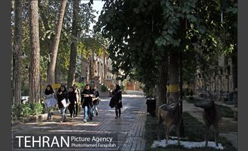 موزه آثار طبیعی و حیات وحش هفت چنار 23