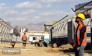 اینجا کارگاهه؛ بازار پرندگان خلیج فارس 15