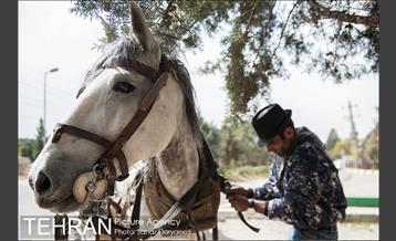 تعطیلات‌نوروزی در پارک‌ملی سرخه‌حصار‎ 12