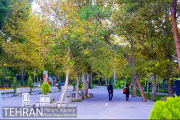 پاییز بوستان لاله 37
