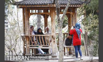 بوستان طالقانی 15