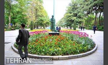 رویش گل لاله در پارک شهر 1