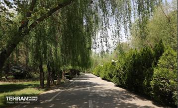 بوستان بانوان نرگس 25