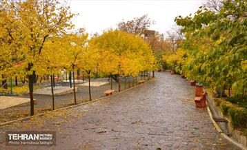 هوای پاییزی پایتخت 5