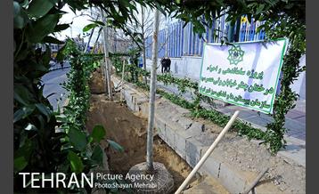 آیین کاشت 40 اصله درخت، به مناسبت چهلمین سالگرد انقلاب اسلامی باحضور شهردار تهران 38