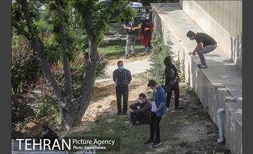 انجام تست رایگان PCR توسط شهرداری تهران 28