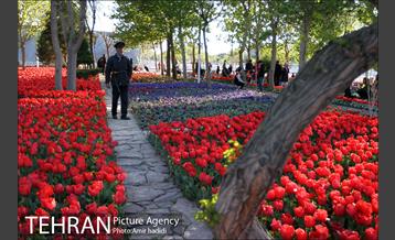 جشنواره لاله‌ها در بوستان زندگی محله هرندی 17