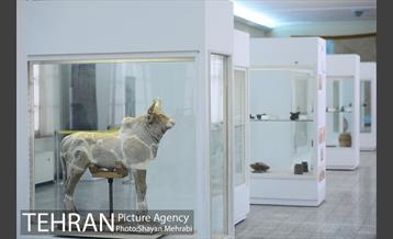 موزه ایران باستان 40