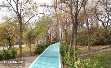 به وقت خدمت؛ مسیر زندگی 49