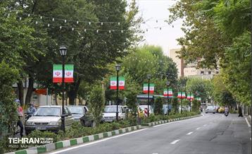 رفیوژ های همیشه سبز 17