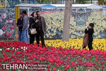 جشنواره لاله‌ها در بوستان زندگی محله هرندی 2