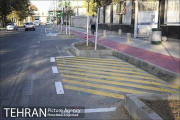 پارک خودرو‌ بین درختان چنار 14