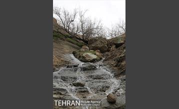 وردیج ، دنیایی از زیبایی 12