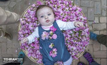 پایتخت میزبان جشنواره گل و گلاب 17