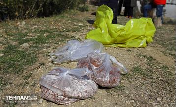 آیین کاشت گیاهان بومی پایتخت در برج میلاد 8