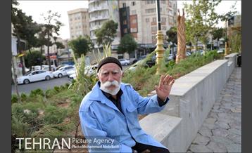 بازپیرایی بوستان قمربنی هاشم(ع)در شب میلاد امام رضا(ع) 1