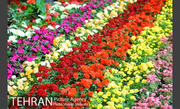 نمایشگاه بین المللی گل و گیاه 31