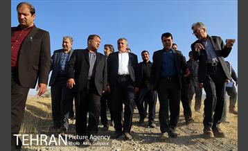 بازدید رئیس شورای شهر تهران از بوستان جنگلی چیتگر 10